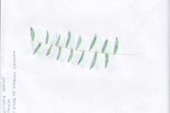 2022 - 2023 (E-ΕΡΓΑΣΙΕΣ ΤΑΞΗ Β)